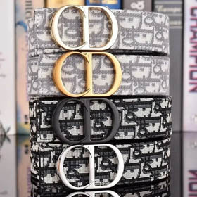 Pasek DIOR (17+ style)